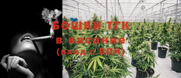 мдпв Горняк