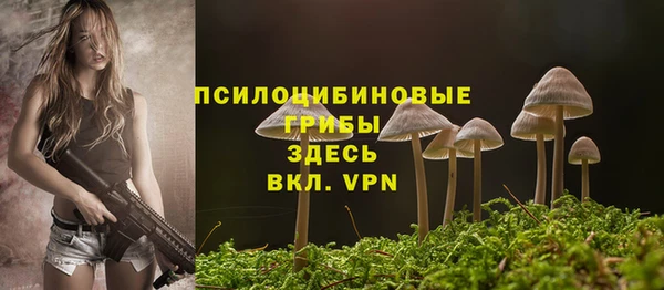 Альфа ПВП Горнозаводск