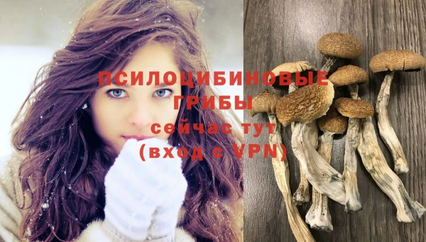 COCAINE Вяземский
