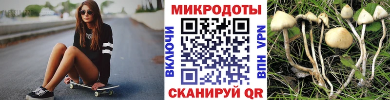 Купить закладки  Козьмодемьянск  Псилоцибиновые грибы ЛСД 